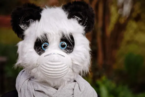 카지노 카바레 클럽 지원